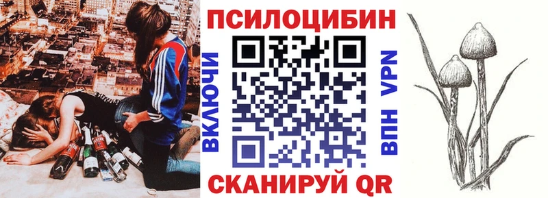 что такое наркотик Унеча Галлюциногенные грибы прущие грибы