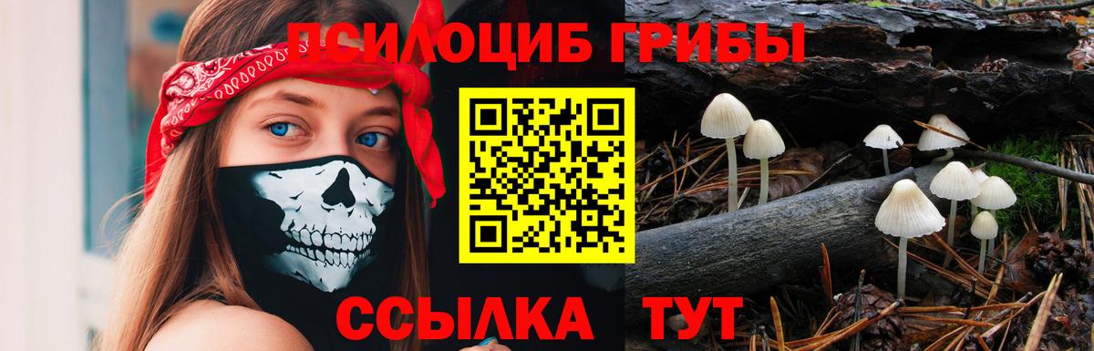 Галлюциногенные грибы мухоморы  Вход с VPN  Унеча 